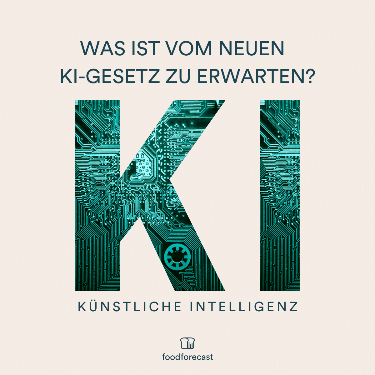 Featured image for “ 🤖 Was uns mit dem Inkrafttreten des neuen KI-Gesetzes erwartet 💻”